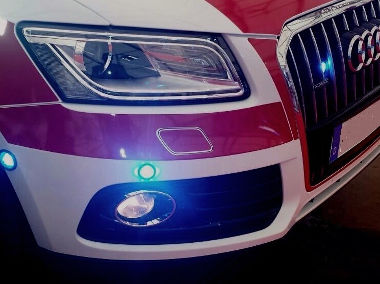 Pichler LED Polizei Licht (blau/rot) online kaufen bei Modellsport  Schweighofer